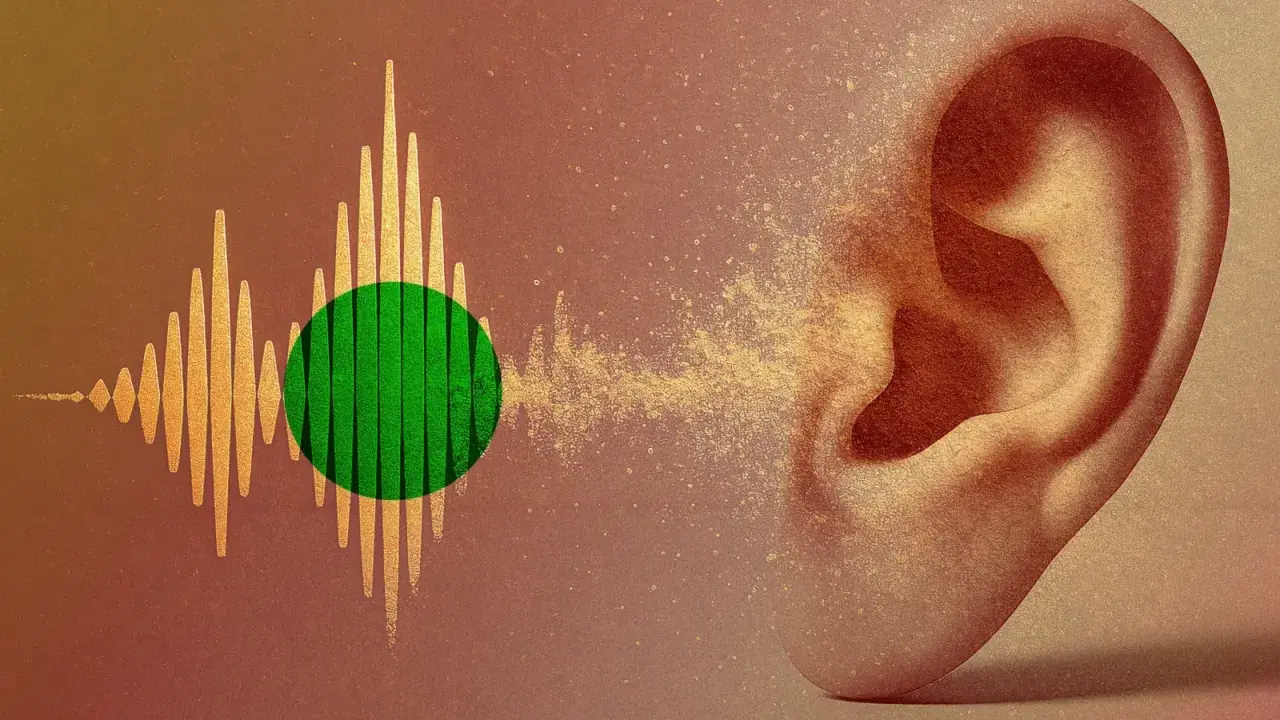 En öra tar emot ljudvågor, som representerar spotify ljudkvalitet.