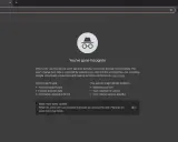 Du har gått inkognito i Chrome. Nu kan du surfa mer privat.