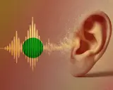 En öra tar emot ljudvågor, som representerar spotify ljudkvalitet.