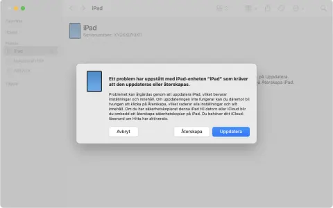 Ett felmeddelande visas för en iPad som inte startar. Det föreslås att uppdatera eller återskapa enheten.