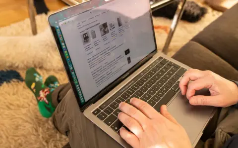 Person letar efter smarta högtalare på nätet, men bör vara försiktig med falska webbsidor som kan lura konsumenter.