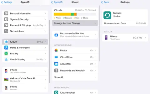 Inställningar för iCloud på iPhone. Här kan du hantera lagring, appar som använder iCloud och säkerhetskopior. För att radera sms iPhone, gå till "Hantera lagring" och välj sedan "Foton" eller "Meddelanden".