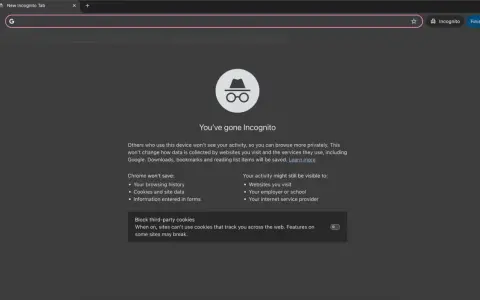 Du har gått inkognito i Chrome. Nu kan du surfa mer privat.