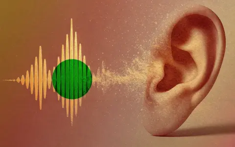 En öra tar emot ljudvågor, som representerar spotify ljudkvalitet.