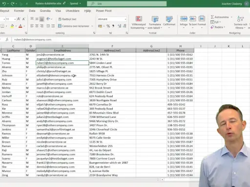 Excel-ark med kontaktuppgifter. Hjälper dig att hitta dubbletter och organisera data.