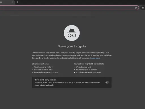 Du har gått inkognito i Chrome. Nu kan du surfa mer privat.