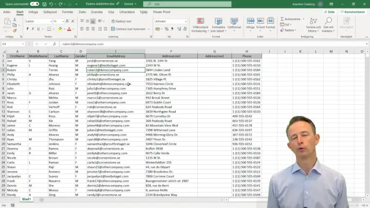 Excel-ark med kontaktuppgifter. Hjälper dig att hitta dubbletter och organisera data.